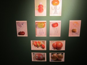 �摜(300x225)�E�g��摜(640x480)