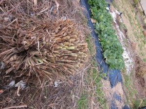 �摜(300x225)�E�g��摜(640x480)