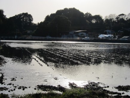 画像(435x326)・拡大画像(640x480)