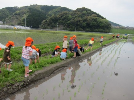 画像(435x326)・拡大画像(640x480)