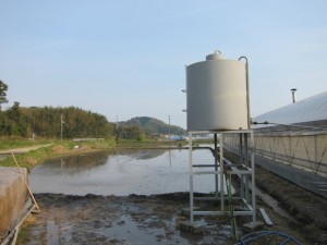 画像(300x225)・拡大画像(640x480)