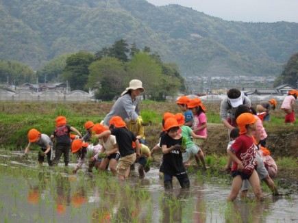 画像(435x326)・拡大画像(640x480)