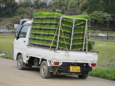 画像(435x326)・拡大画像(640x480)