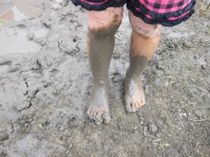 画像(300x225)・拡大画像(640x480)