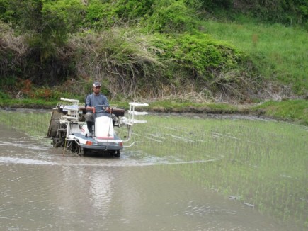 画像(435x326)・拡大画像(640x480)