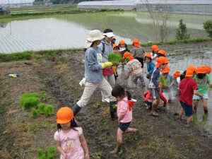 画像(300x225)・拡大画像(640x480)