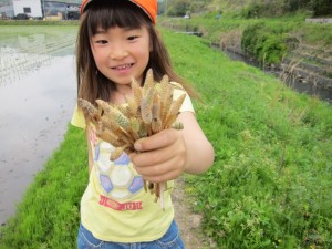 画像(300x225)・拡大画像(640x480)