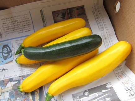 画像(435x326)・拡大画像(640x480)