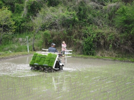 画像(435x326)・拡大画像(640x480)