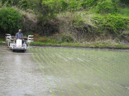 画像(435x326)・拡大画像(640x480)