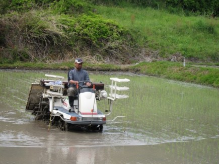 画像(435x326)・拡大画像(640x480)