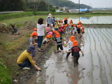 画像(435x326)・拡大画像(640x480)