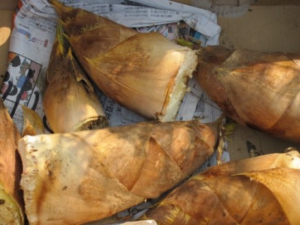 画像(435x326)・拡大画像(640x480)