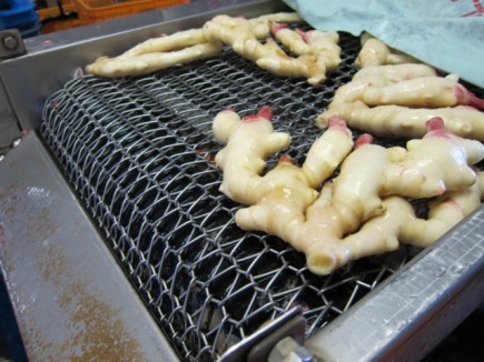 �摜(435x326)�E�g��摜(640x480)