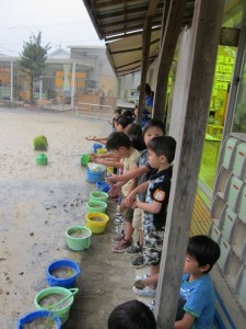 �摜(225x300)�E�g��摜(480x640)