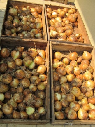 �摜(326x435)�E�g��摜(480x640)