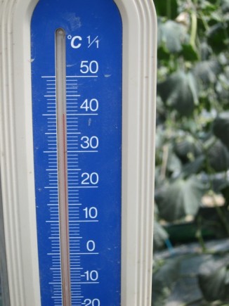 �摜(326x435)�E�g��摜(480x640)