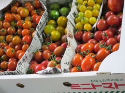 �摜(435x326)�E�g��摜(640x480)