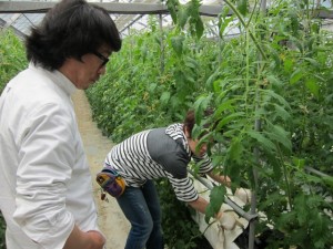 �摜(300x225)�E�g��摜(640x480)