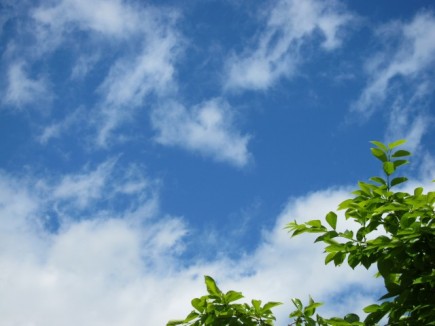 �摜(435x326)�E�g��摜(640x480)