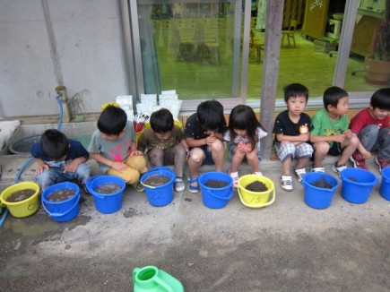 �摜(435x326)�E�g��摜(640x480)