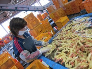 �摜(300x225)�E�g��摜(640x480)