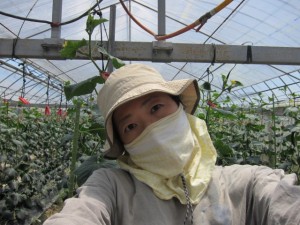 �摜(300x225)�E�g��摜(640x480)