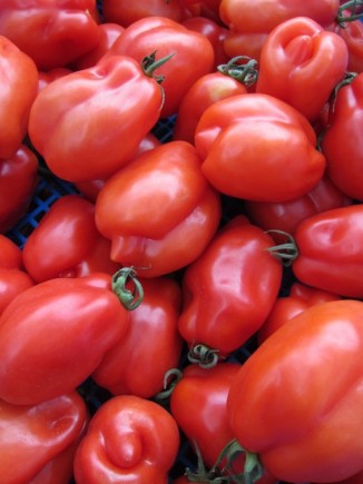 �摜(326x435)�E�g��摜(480x640)