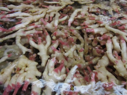 �摜(435x326)�E�g��摜(640x480)