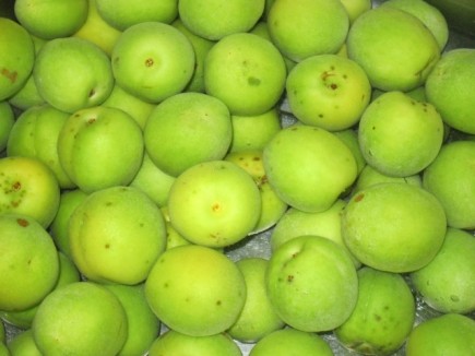 画像(435x326)・拡大画像(640x480)