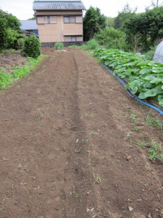 画像(326x435)・拡大画像(480x640)