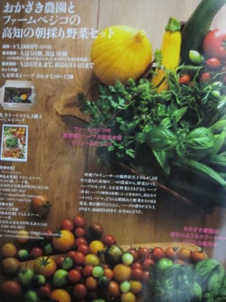 画像(326x435)・拡大画像(480x640)