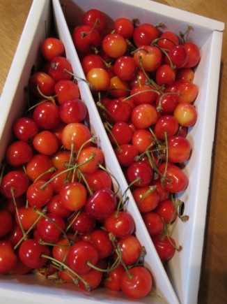 �摜(326x435)�E�g��摜(480x640)