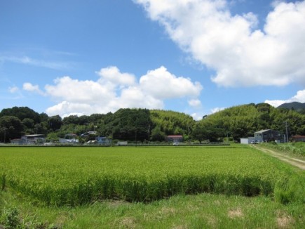 �摜(435x326)�E�g��摜(640x480)