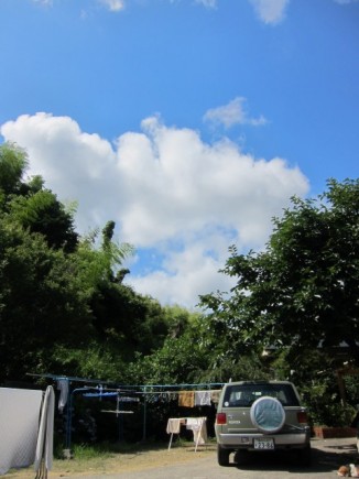 �摜(326x435)�E�g��摜(480x640)