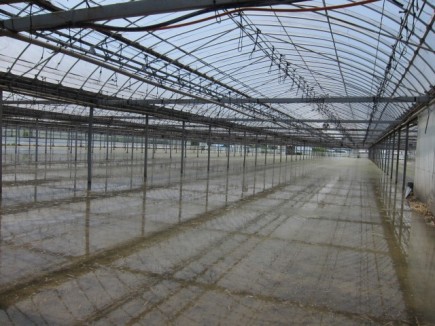 �摜(435x326)�E�g��摜(640x480)