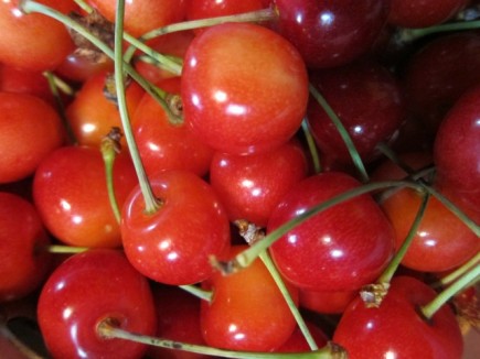 �摜(435x326)�E�g��摜(640x480)