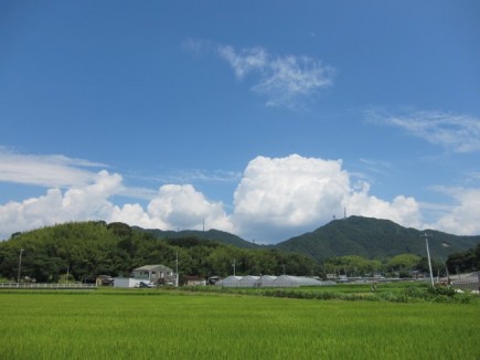 �摜(435x326)�E�g��摜(640x480)