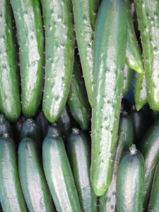 �摜(225x300)�E�g��摜(480x640)