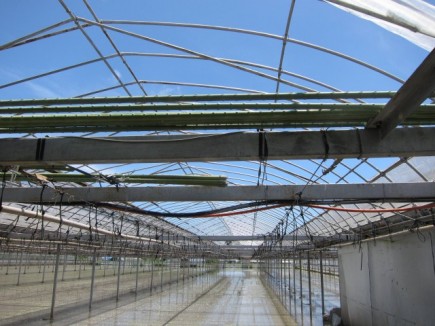 �摜(435x326)�E�g��摜(640x480)