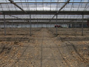 �摜(300x225)�E�g��摜(640x480)