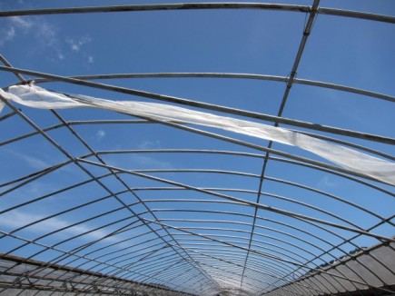 �摜(435x326)�E�g��摜(640x480)