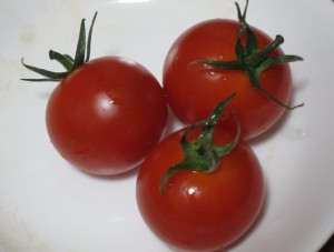 �摜(300x227)�E�g��摜(640x486)