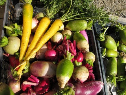 �摜(435x326)�E�g��摜(640x480)