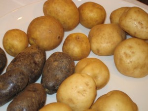 �摜(300x225)�E�g��摜(640x480)