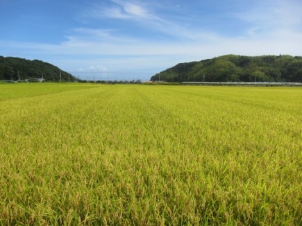 画像(435x326)・拡大画像(640x480)