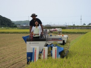 画像(300x225)・拡大画像(640x480)