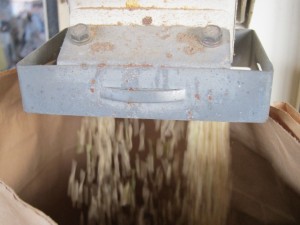 画像(300x225)・拡大画像(640x480)