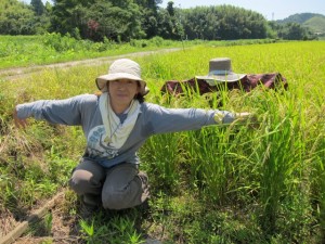 画像(300x225)・拡大画像(640x480)