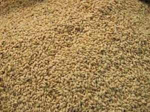 画像(300x225)・拡大画像(640x480)